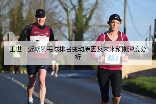 王世一近期羽毛球排名变动原因及未来预期深度分析
